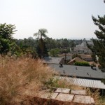 Library - 06576