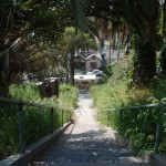 Library - 06608