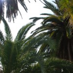 Library - 06616