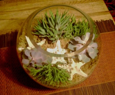PlantDome1