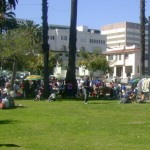 Picnics & Swap Meet