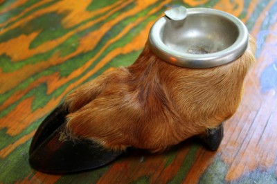 Elk Hoof