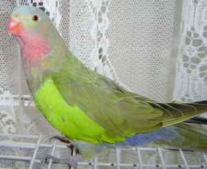 3o73pe3lf5Z25W25U3a8a6eec773e80ad164b.jpg