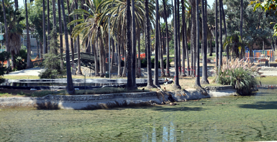 echopark-lake-muck