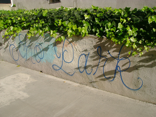 echo-park